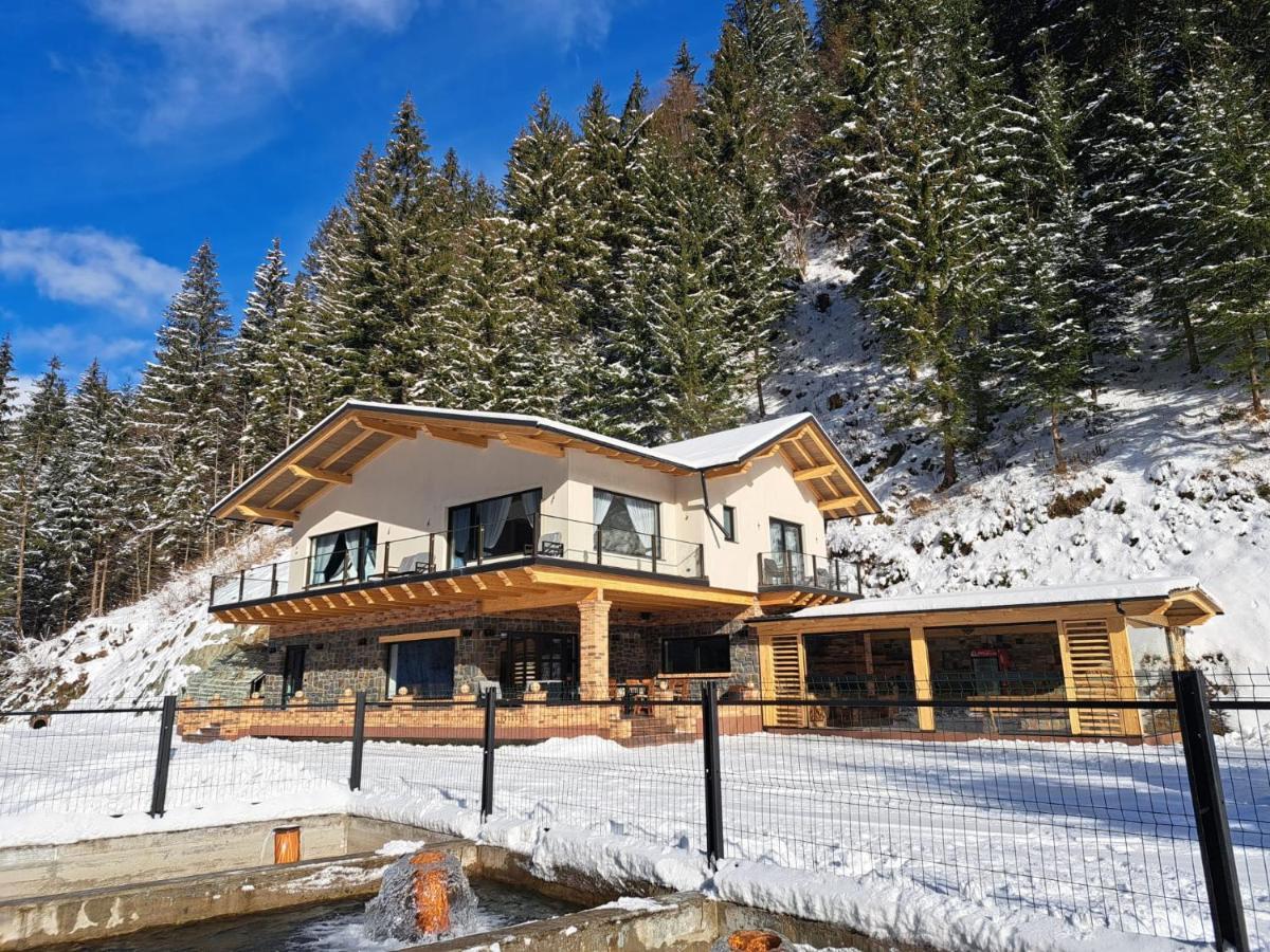 Cabana Nemtucu Borsa  Exterior photo
