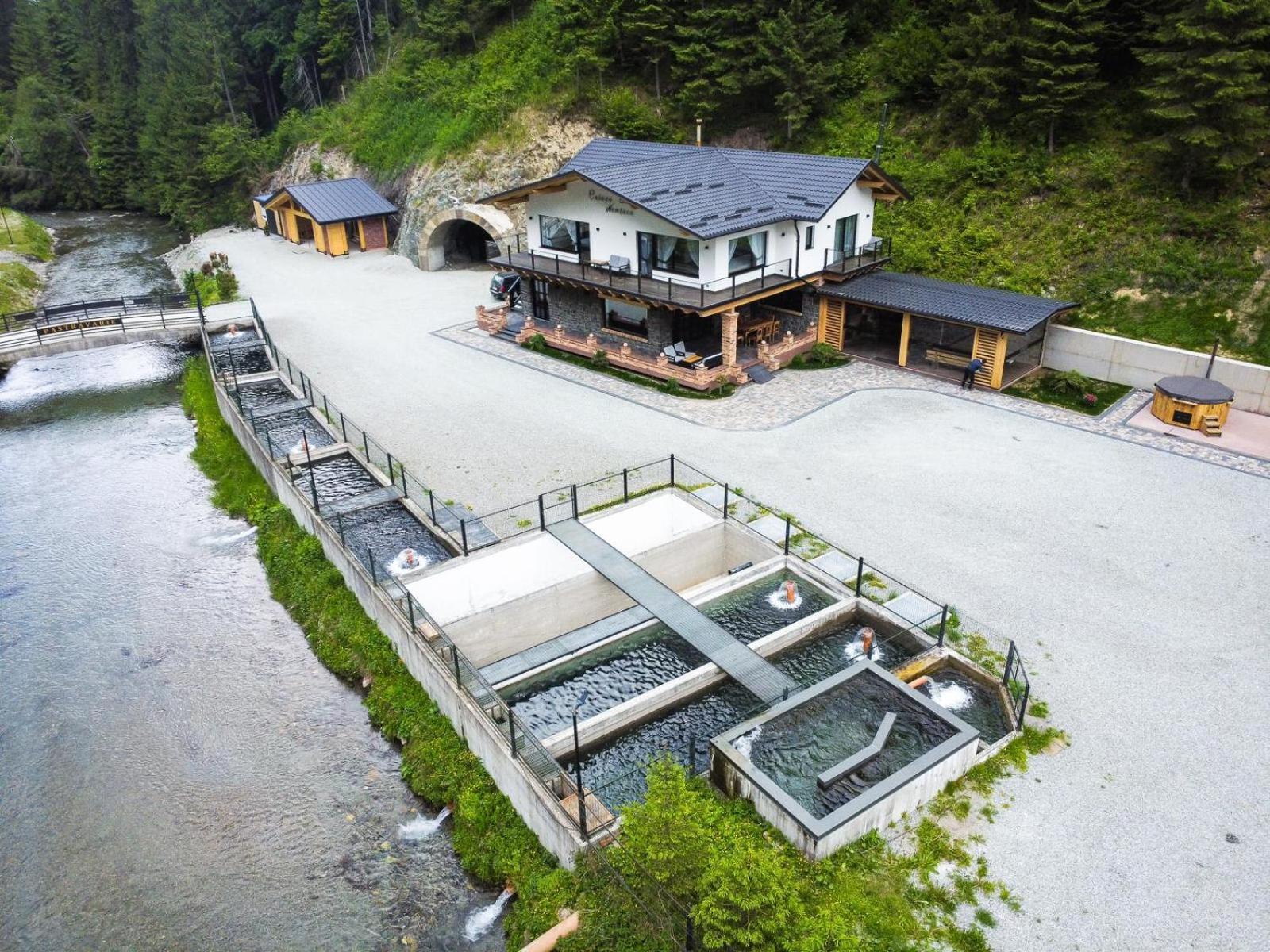 Cabana Nemtucu Borsa  Exterior photo