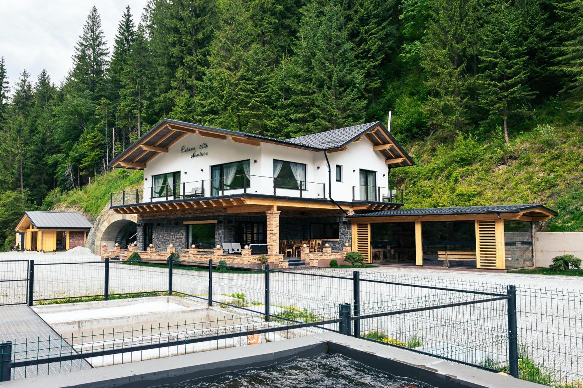 Cabana Nemtucu Borsa  Exterior photo